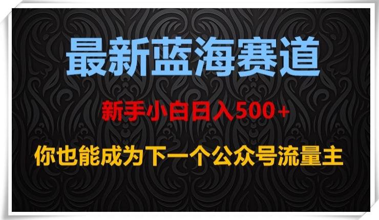 最新蓝海赛道，新手小白日入500+，你也能成为下一个公众号流量主【揭秘】-一新网创