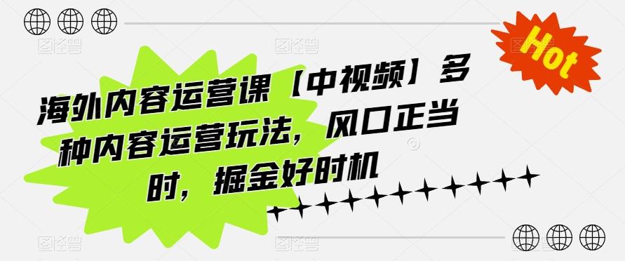 海外内容运营课【中视频】多种内容运营玩法，风口正当时，掘金好时机-一新网创