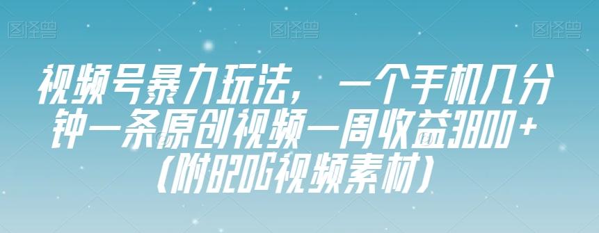 视频号暴力玩法，一个手机几分钟一条原创视频一周收益3800+（附820G视频素材）-一新网创