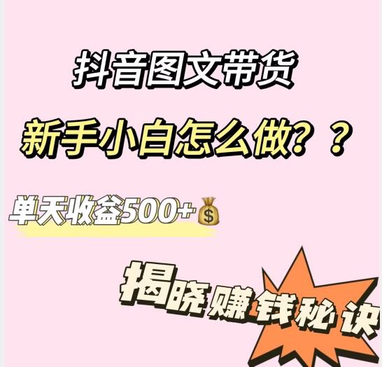 抖音图文带货，新手小白怎么做？单天收益500+【揭秘赚钱秘诀】-一新网创