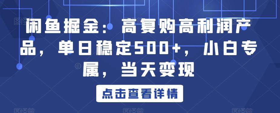 闲鱼掘金：高复购高利润产品，单日稳定500+，小白专属，当天变现-一新网创