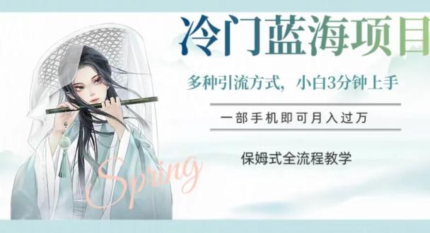 冷门蓝海项目，操作简单，小白3分钟上手，多种引流方式，保姆式全流程教学【揭秘】-一新网创