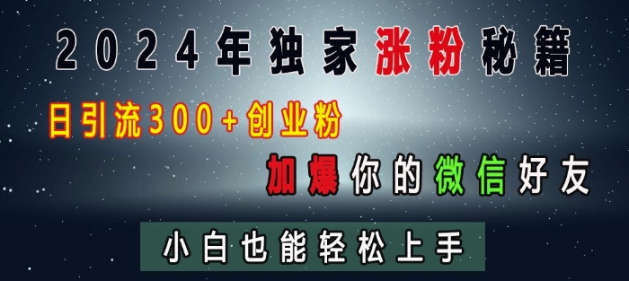 2024年独家涨粉秘籍，日引流300+创业粉，加爆你的微信好友，小白也能轻松上手-一新网创