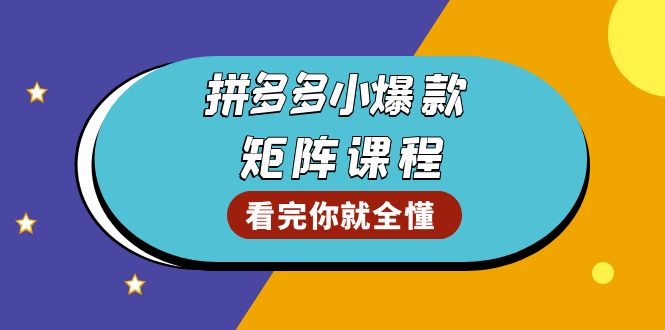拼多多爆款矩阵课程：教你测出店铺爆款，优化销量，提升GMV，打造爆款群-一新网创
