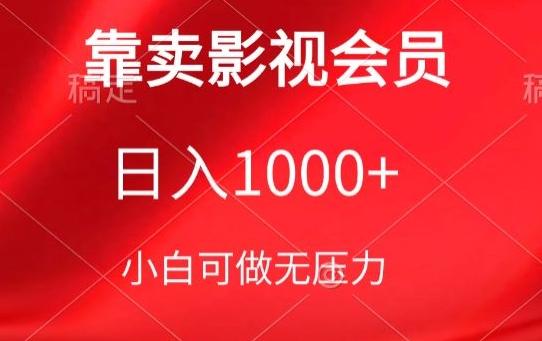 靠卖影视会员，日入1000+，落地保姆级教程，新手可学【揭秘】-一新网创