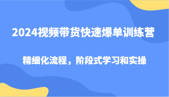 2024视频带货快速爆单训练营，精细化流程，阶段式学习和实操-一新网创