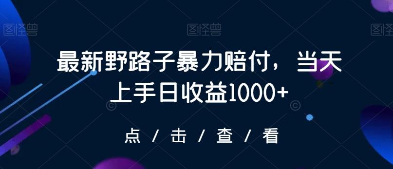 最新野路子暴力赔付，当天上手日收益1000+【仅揭秘】-一新网创
