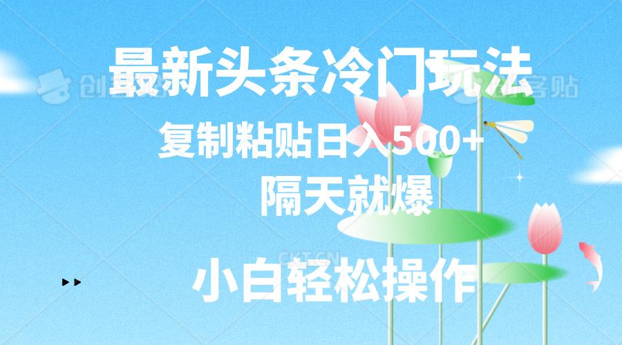 最新头条冷门玩法，隔天就爆，复制粘贴日入500+-一新网创