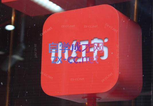 伊伊·红薯【高级班】运营课-一新网创