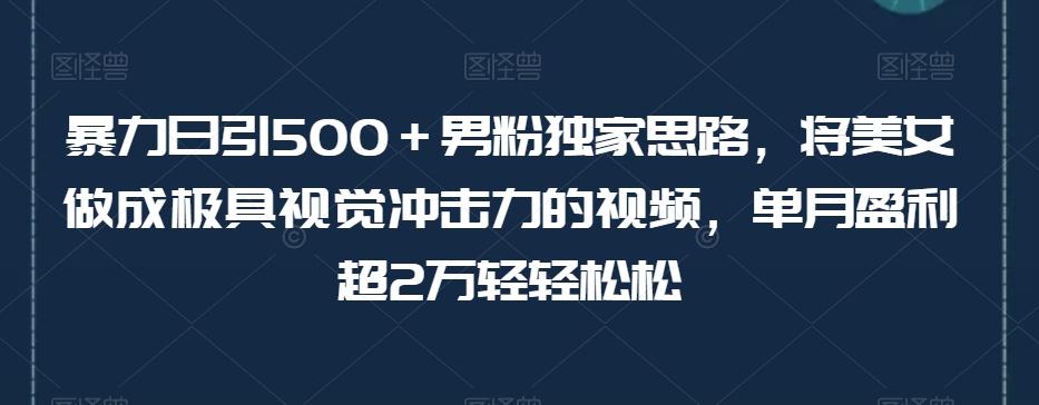 暴力日引500＋男粉独家思路，将美女做成极具视觉冲击力的视频，单月盈利超2万轻轻松松-一新网创