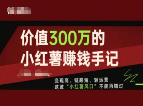 价值300万的小红书赚钱手记，变现高、链路短、轻运营，这波“小红薯风口”不能再错过-一新网创