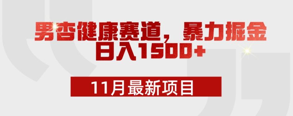 11月最新项目，男杏健康赛道，暴力掘金，日入1500+-一新网创