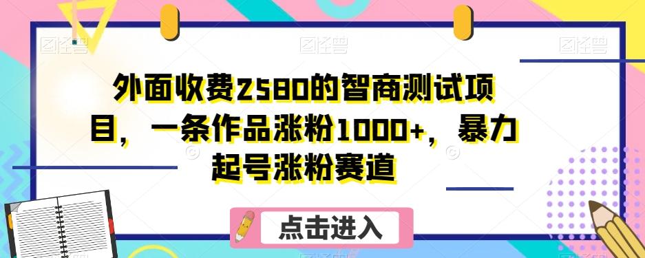 外面收费2580的智商测试项目，一条作品涨粉1000+，暴力起号涨粉赛道【揭秘】-一新网创