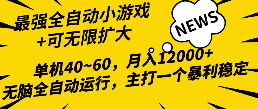 (10046期)2024最新全网独家小游戏全自动，单机40~60,稳定躺赚，小白都能月入过万-一新网创