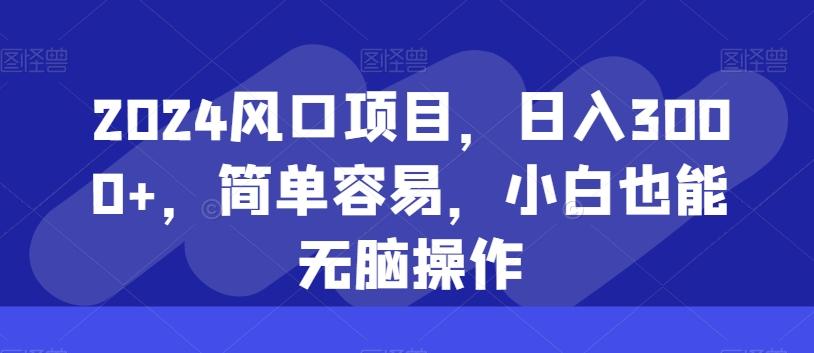 2024风口项目，日入3000+，简单容易，小白也能无脑操作-一新网创