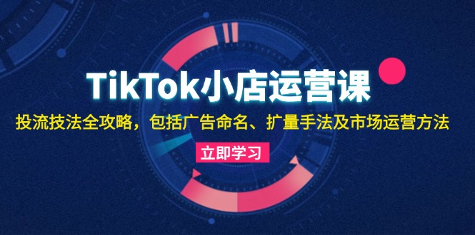 TikTok小店运营课：投流技法全攻略，包括广告命名 扩量手法及市场运营方法-一新网创