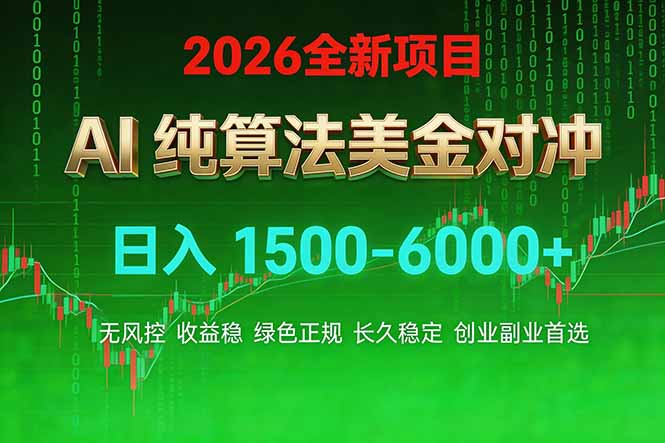 2026 全新美金对冲项目，不套平台赠金，不封号，纯算法对冲，日入 1500-6000+-一新网创