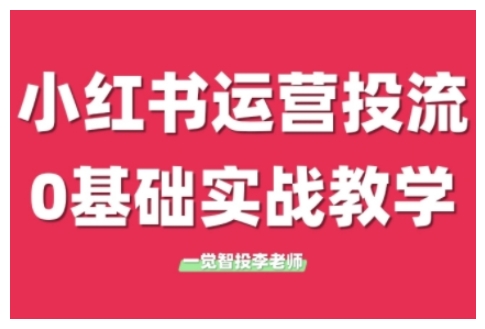 小红书运营投流，小红书广告投放从0到1的实战课，学完即可开始投放(更新26年)-一新网创