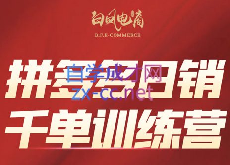 白凤电商·拼多多日销千单训练营(更新2月)-一新网创