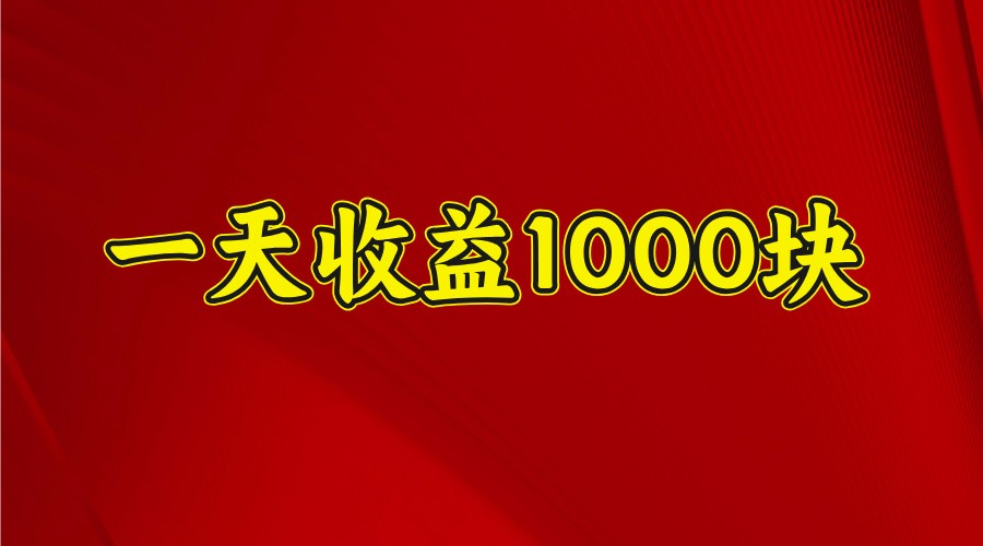 一天收益1000块，2025全网首发-一新网创