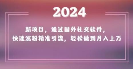 2024新项目，通过国外社交软件，快速涨粉精准引流，轻松做到月入上万【揭秘】-一新网创