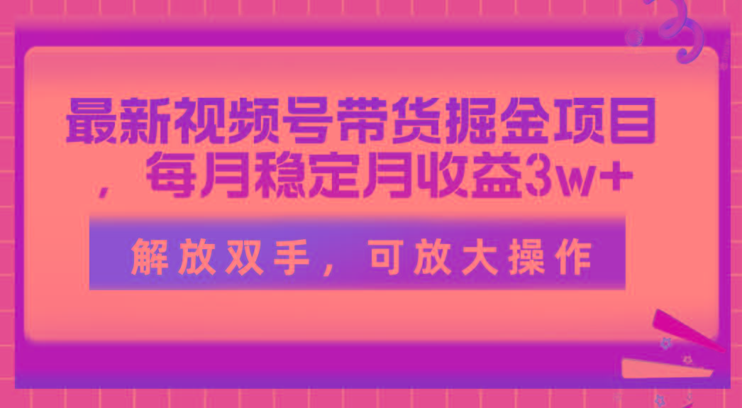 最新视频号带货掘金项目，每月稳定月收益3w+，解放双手，可放大操作-一新网创