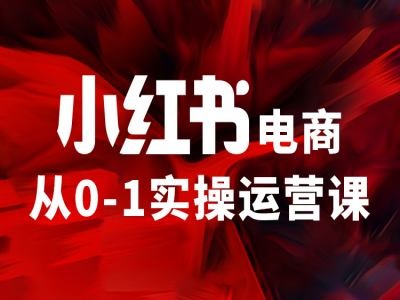 小红书电商从0-1实操运营课，让你从小白到精英-一新网创