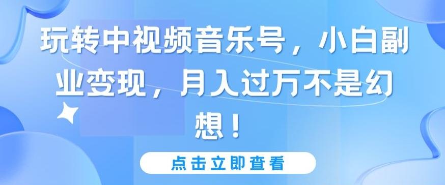 玩转中视频音乐号，小白副业变现，月入过万不是幻想【揭秘】-一新网创
