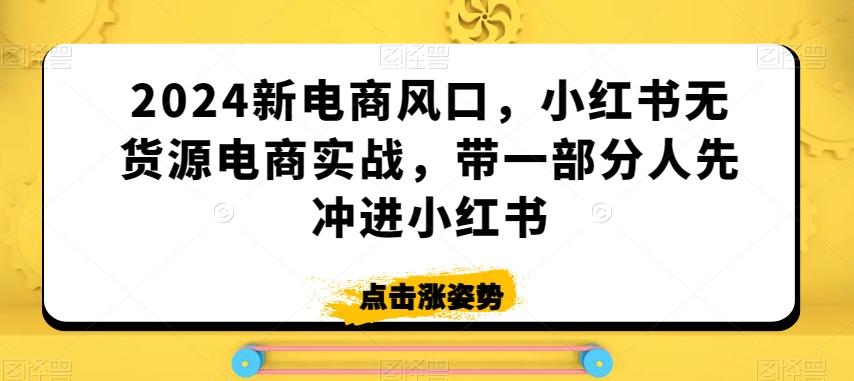 2024新电商风口，小红书无货源电商实战，带一部分人先冲进小红书-一新网创