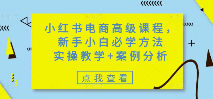 小红书电商高级课程，新手小白必学方法，实操教学+案例分析-一新网创