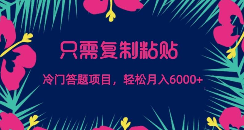 只需复制粘贴，冷门答题项目，轻松月入6000-一新网创