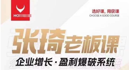 【组合课】张琦张琦老板企业增长·盈利爆破系统（直播专享）-一新网创