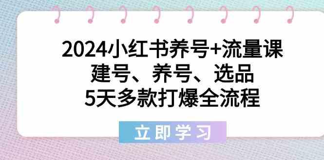 2024小红书养号+流量课：建号、养号、选品，5天多款打爆全流程-一新网创