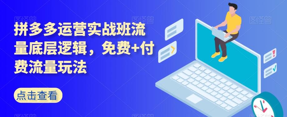 拼多多运营实战班流量底层逻辑，免费+付费流量玩法-一新网创