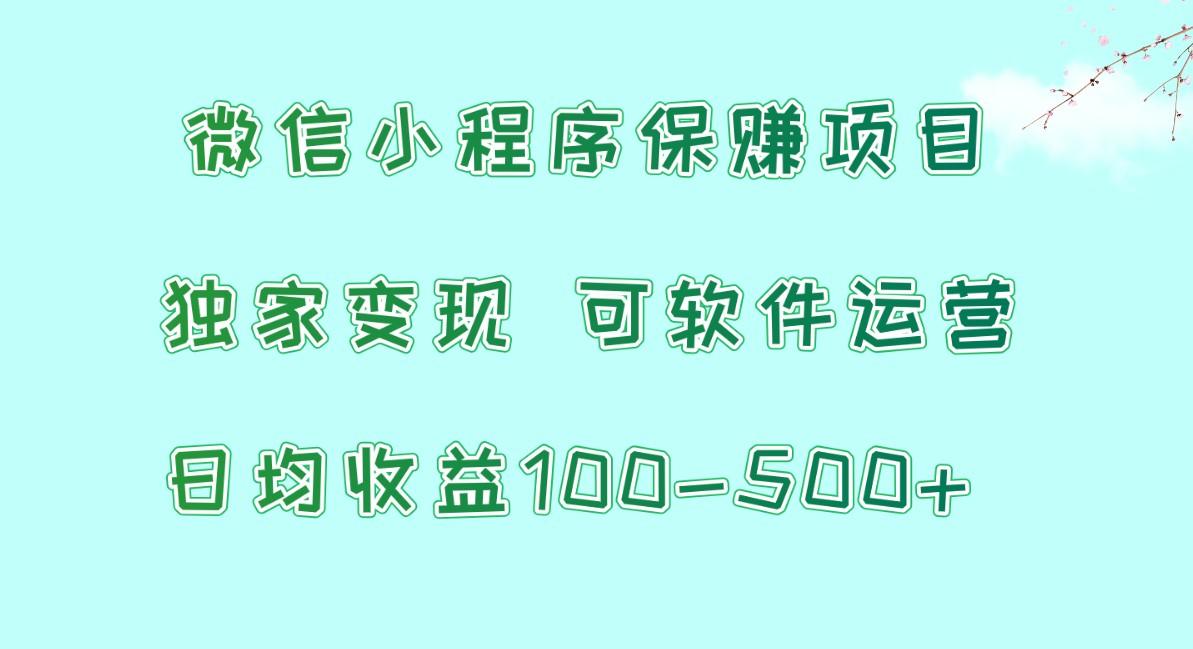 微信小程序保赚项目，日均收益100~500+，独家变现，可软件运营-一新网创