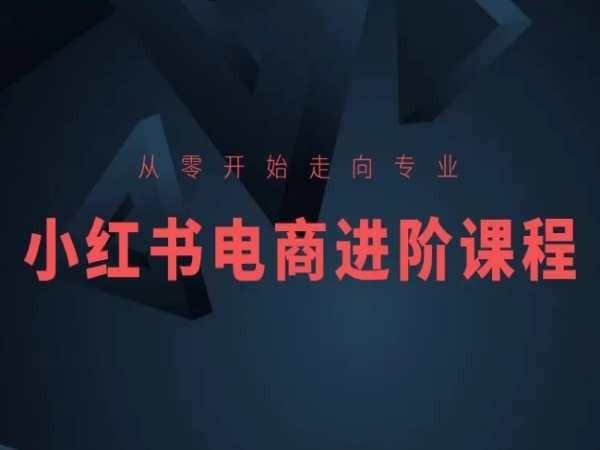 从零开始走向专业，小红书电商进阶课程-一新网创