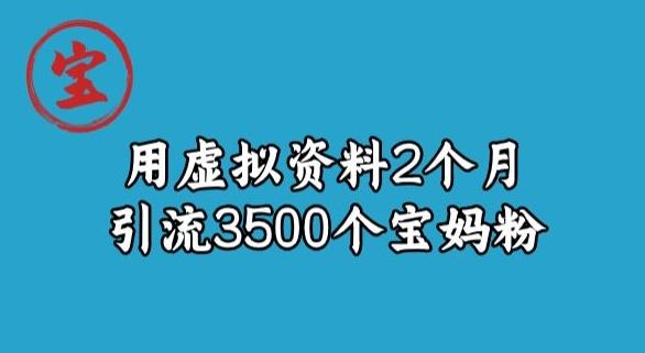 宝哥虚拟资料项目，2个月引流3500个宝妈粉-一新网创