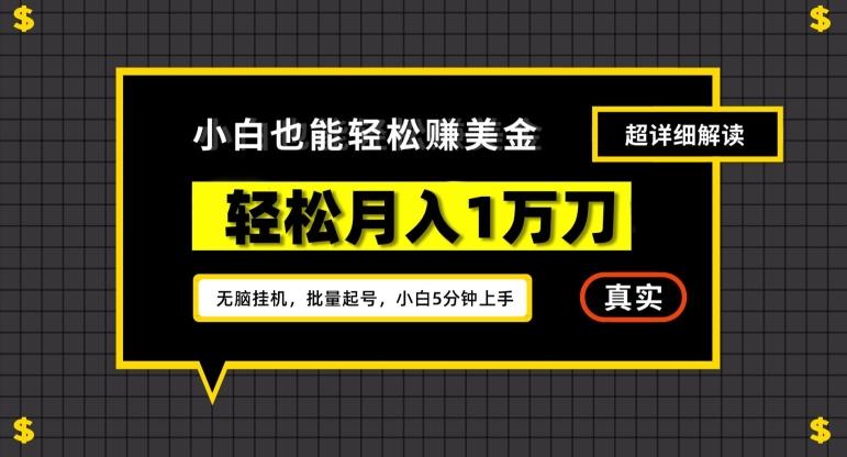 谷歌看广告撸美金2.0，无脑挂机，多号操作，月入1万刀【揭秘】-一新网创