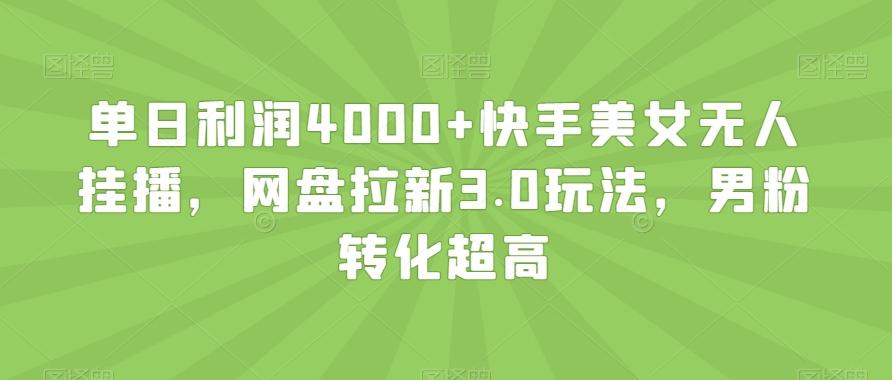 单日利润4000+快手美女无人挂播，网盘拉新3.0玩法，男粉转化超高【揭秘】-一新网创
