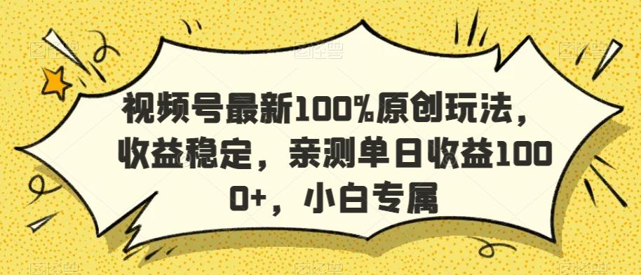 视频号最新100%原创玩法，收益稳定，亲测单日收益1000+，小白专属【揭秘】-一新网创