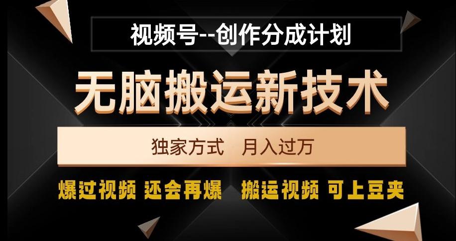 视频号无脑搬运新技术，破原创壕流量，独家方式，爆过视频，还会再爆【揭秘】-一新网创