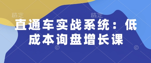 直通车实战系统：低成本询盘增长课，让个人通过技能实现升职加薪，让企业低成本获客，订单源源不断-一新网创