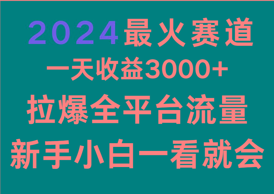 2024最火赛道，一天收一3000+.拉爆全平台流量，新手小白一看就会-一新网创