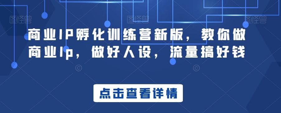 商业IP孵化训练营新版，教你做商业Ip，做好人设，流量搞好钱-一新网创