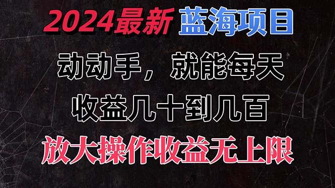 有手就行的2024全新蓝海项目，每天1小时收益几十到几百，可放大操作收...-一新网创