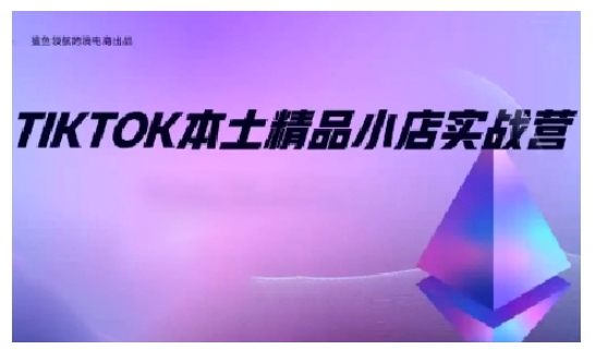 TikTok本土精品小店出海实战营，从入门到高阶，不止0-1!-一新网创