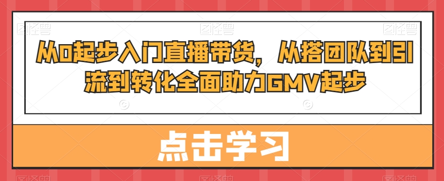 从0起步入门直播带货，​从搭团队到引流到转化全面助力GMV起步-一新网创