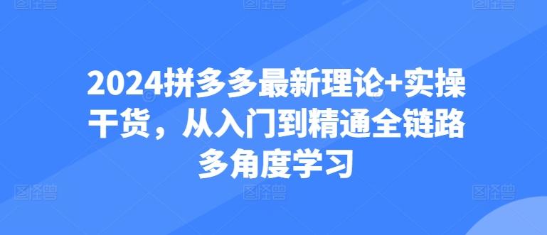 2024拼多多最新理论+实操干货，从入门到精通全链路多角度学习-一新网创