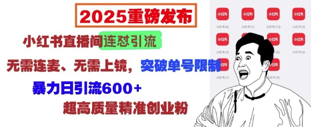 2025重磅发布：小红书直播间连怼引流，无需连麦、无需上镜，突破单号限制，暴力日引流600+-一新网创