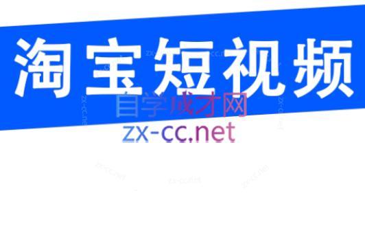 创北电商·淘宝短视频店群(更新24年2月)-一新网创